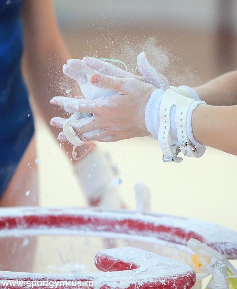 Спортивная гимнастика. Курсы повышения квалификации для тренеров