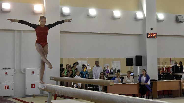 Спортивная гимнастика: девочки у нас хорошие, а мальчики еще маленькие