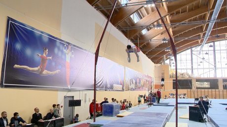 Мужская сборная гимнастов из Пензы взяла золото на чемпионате округа