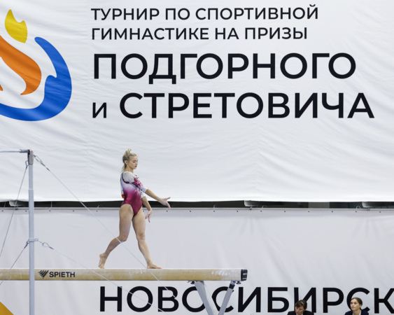 Спортивная гимнастика: грация и пластика 