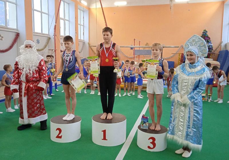 В Ефремове прошло Открытое личное первенство по спортивной гимнастике