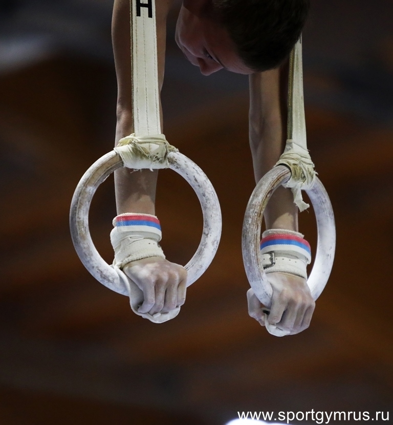 Предолимпийский чемпионат России по спортивной гимнастике пройдет в марте в Сириусе