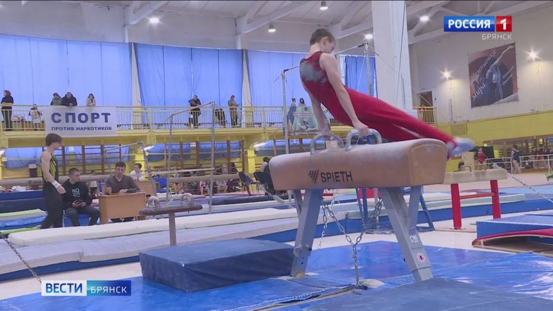 В Брянске прошёл Чемпионат области по спортивной гимнастике